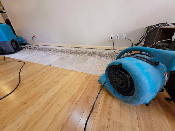 Professional Water Damage Repair technician working in Edwardsville, KS