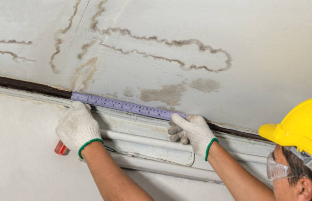 Affordable Water Damage Repair solutions in Edwardsville, KS